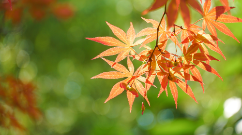 豫/浙/陜/滇/粵/蘇等地光儲(chǔ)新政、加快經(jīng)濟(jì)社會(huì)發(fā)展全面綠色轉(zhuǎn)型重要成果發(fā)布、《2024年7月份能源生產(chǎn)情況》發(fā)布……