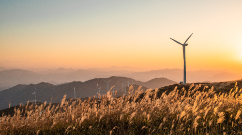 國務院和國家能源局發布兩重要文件、9月電網代理購電電價公布、近期地方光儲充/電力市場政策更新……